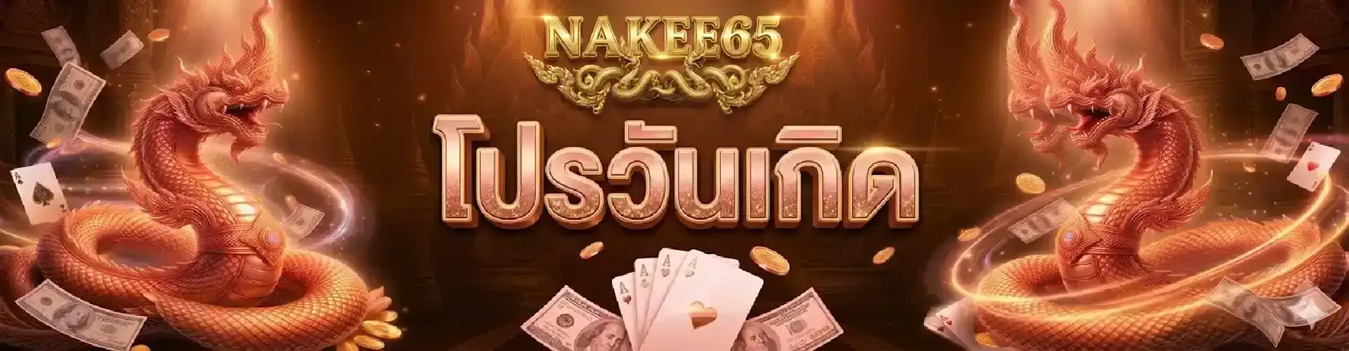 nakee65-pro1_1920_500