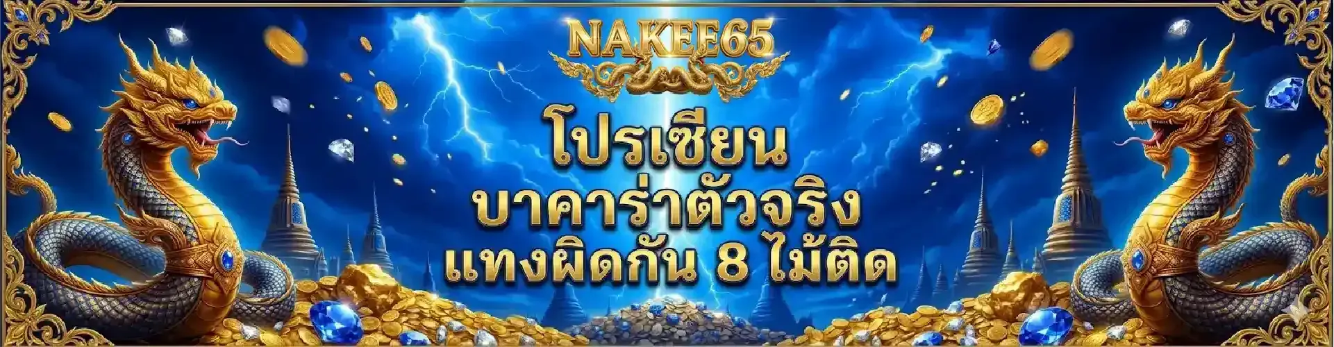 nakee65-pro4_1921_500
