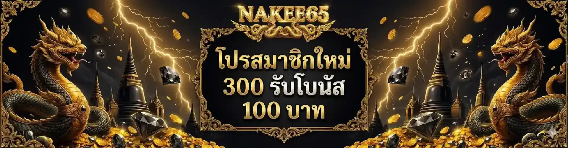 nakee65-pro6_1921_501